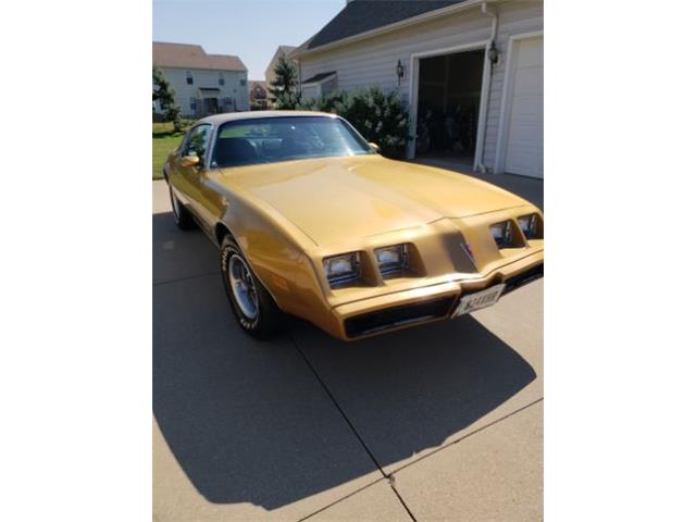 1979 Pontiac Firebird (CC-1142350) for sale in Cadillac, Michigan