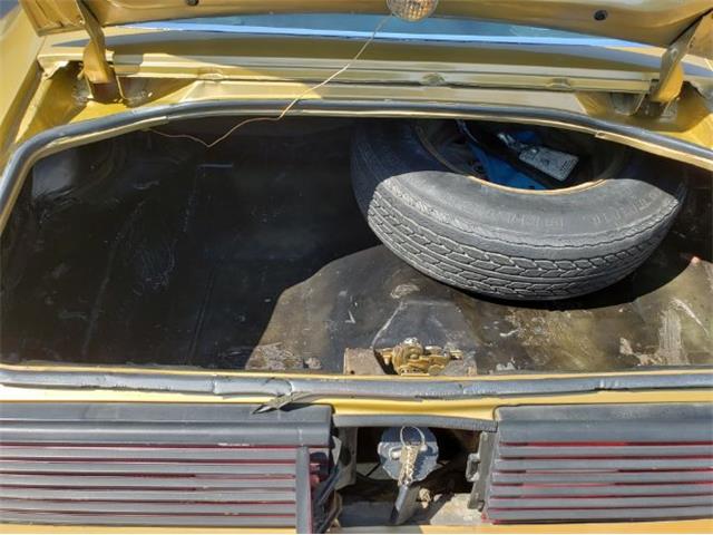 1979 Pontiac Firebird (CC-1142350) for sale in Cadillac, Michigan