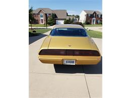 1979 Pontiac Firebird (CC-1142350) for sale in Cadillac, Michigan