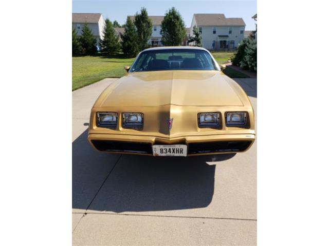 1979 Pontiac Firebird (CC-1142350) for sale in Cadillac, Michigan