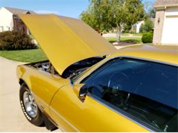 1979 Pontiac Firebird (CC-1142350) for sale in Cadillac, Michigan