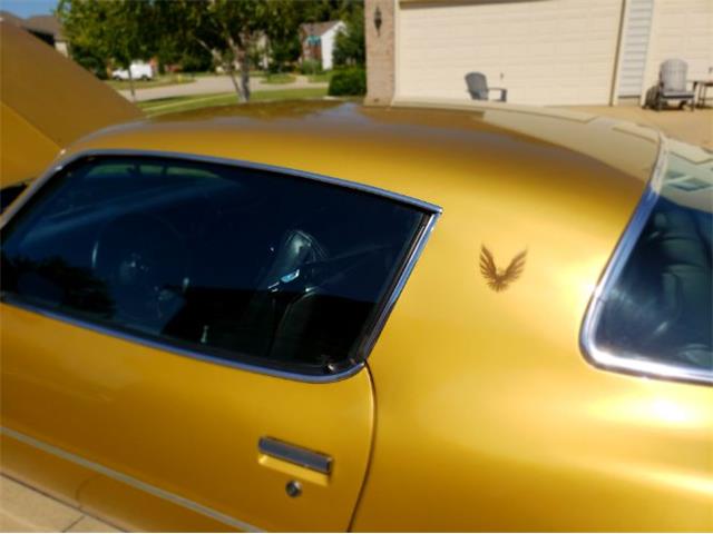 1979 Pontiac Firebird (CC-1142350) for sale in Cadillac, Michigan