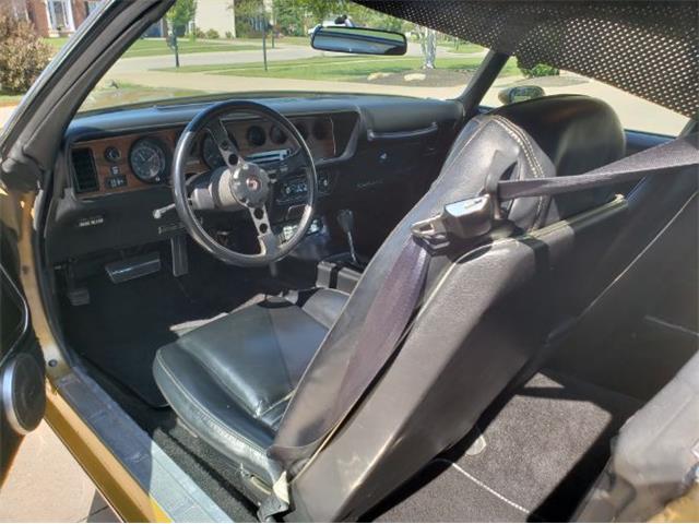1979 Pontiac Firebird (CC-1142350) for sale in Cadillac, Michigan