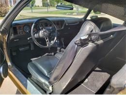 1979 Pontiac Firebird (CC-1142350) for sale in Cadillac, Michigan