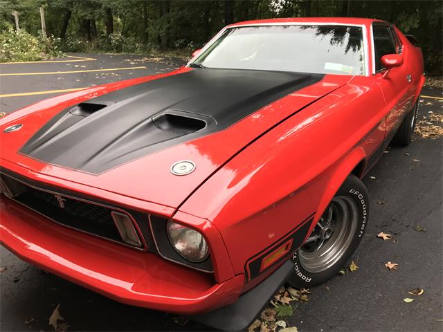 1973 Ford Mustang Mach 1 (CC-1142513) for sale in Fulton, New York