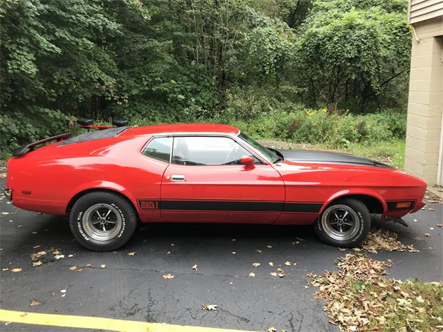 1973 Ford Mustang Mach 1 (CC-1142513) for sale in Fulton, New York