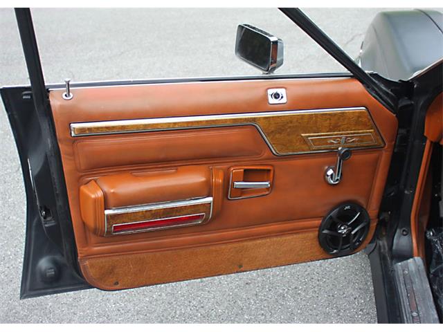 1981 AMC Eagle (CC-1142713) for sale in Lakeland, Florida
