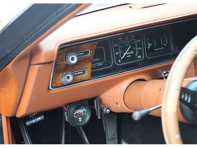 1981 AMC Eagle (CC-1142713) for sale in Lakeland, Florida