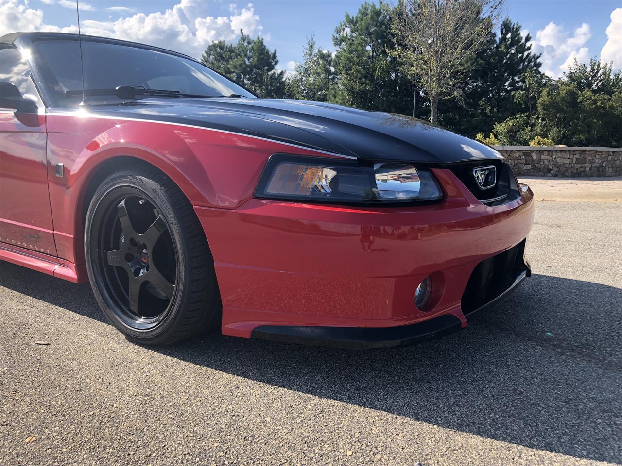 2003 Ford Mustang (Roush) for Sale | ClassicCars.com | CC-1142770