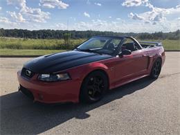 2003 Ford Mustang (Roush) (CC-1142770) for sale in Simpsonville , South Carolina