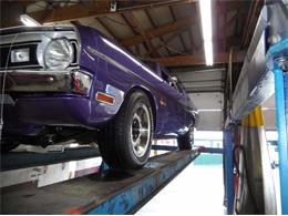 1971 Dodge Demon (CC-1142794) for sale in Volo, Illinois
