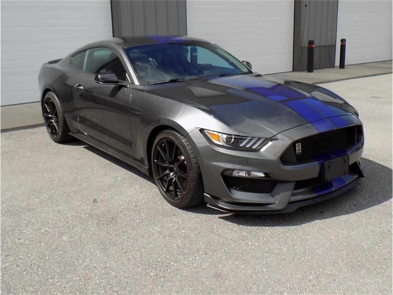 2016 Shelby GT350 for Sale | ClassicCars.com | CC-1142907