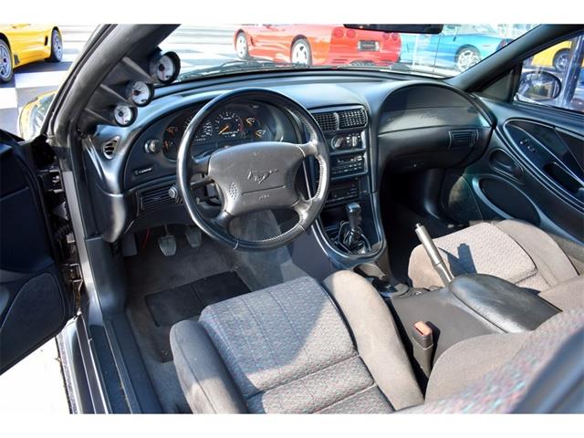 1998 Ford Mustang GT (CC-1140390) for sale in Springfield, Ohio