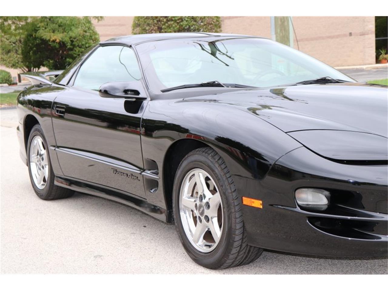 1998 Pontiac Firebird Trans Am for Sale