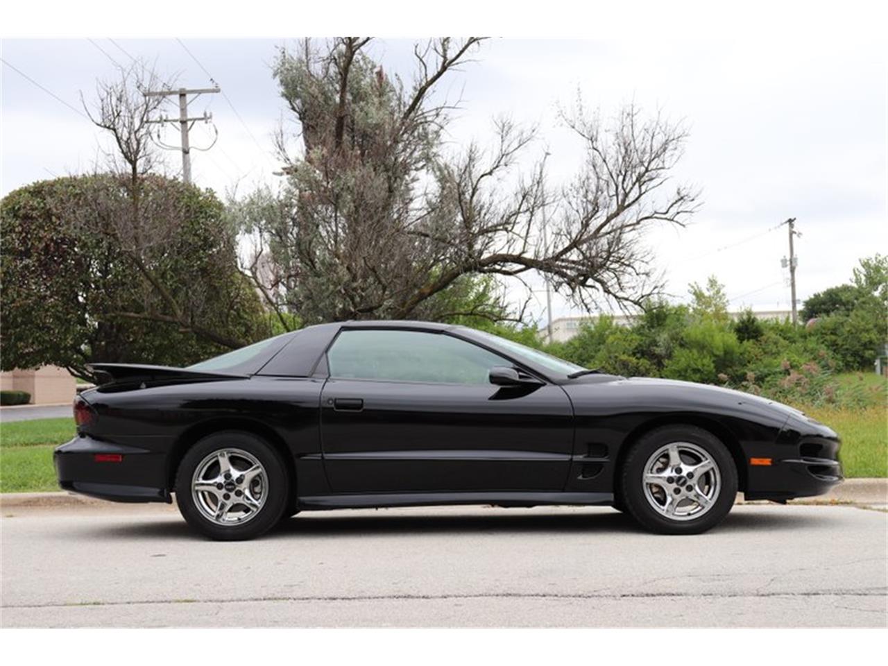 1998 Pontiac Firebird Trans Am for Sale