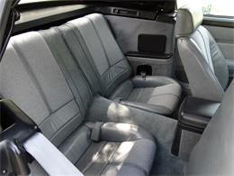 1988 Chevrolet Camaro IROC Z28 (CC-1144429) for sale in Springdale, Arkansas