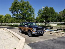 1988 Jeep Grand Wagoneer (CC-1144525) for sale in Kerrvile, Texas