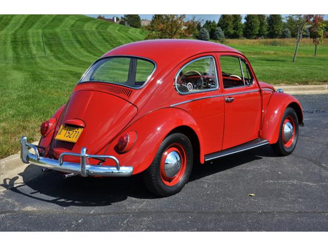 1965 Volkswagen Beetle (CC-1144785) for sale in Plainfield, Illinois