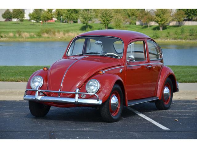 1965 Volkswagen Beetle (CC-1144785) for sale in Plainfield, Illinois