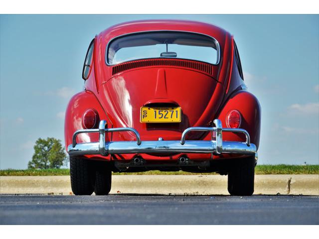 1965 Volkswagen Beetle (CC-1144785) for sale in Plainfield, Illinois