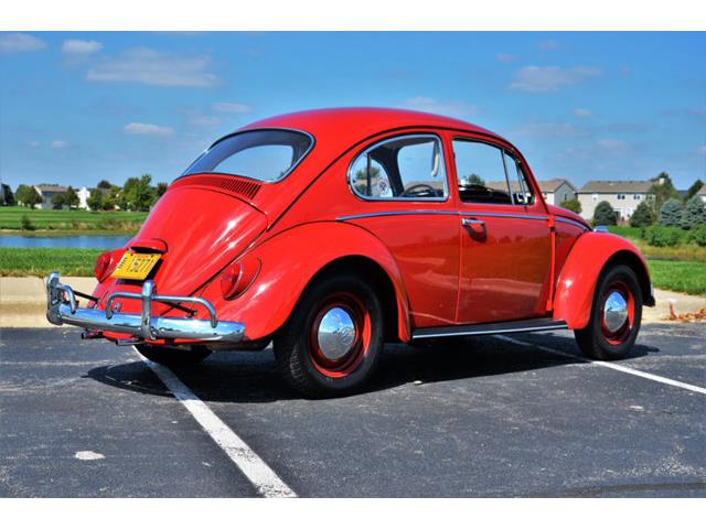 1965 Volkswagen Beetle (CC-1144785) for sale in Plainfield, Illinois
