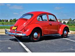 1965 Volkswagen Beetle (CC-1144785) for sale in Plainfield, Illinois