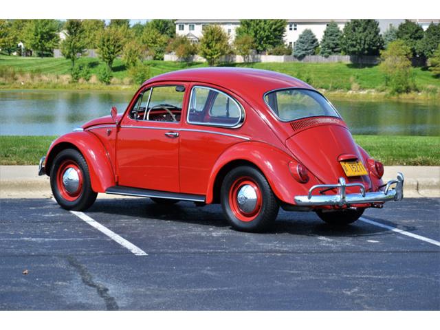 1965 Volkswagen Beetle (CC-1144785) for sale in Plainfield, Illinois