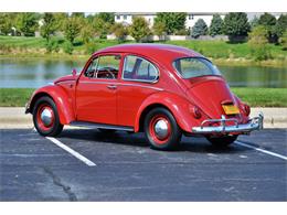 1965 Volkswagen Beetle (CC-1144785) for sale in Plainfield, Illinois