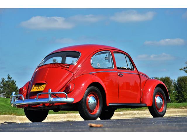 1965 Volkswagen Beetle (CC-1144785) for sale in Plainfield, Illinois