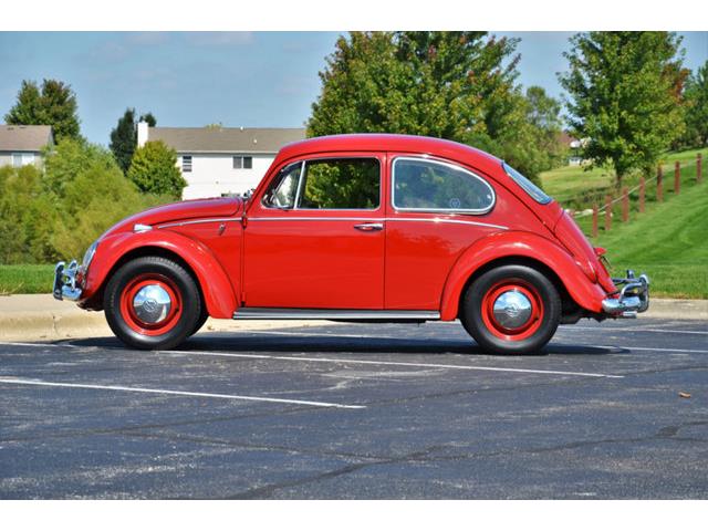 1965 Volkswagen Beetle (CC-1144785) for sale in Plainfield, Illinois