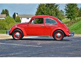 1965 Volkswagen Beetle (CC-1144785) for sale in Plainfield, Illinois