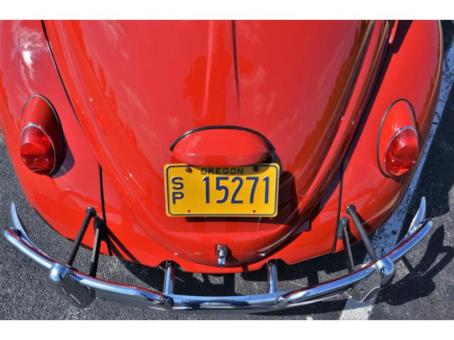 1965 Volkswagen Beetle (CC-1144785) for sale in Plainfield, Illinois