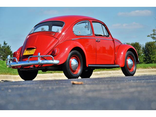 1965 Volkswagen Beetle (CC-1144785) for sale in Plainfield, Illinois