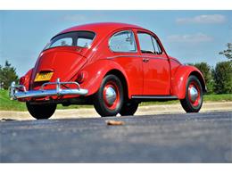1965 Volkswagen Beetle (CC-1144785) for sale in Plainfield, Illinois