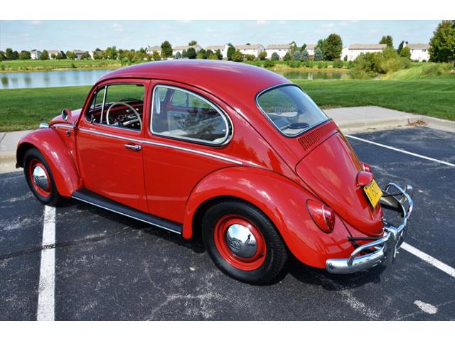 1965 Volkswagen Beetle (CC-1144785) for sale in Plainfield, Illinois