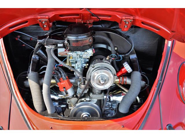 1965 Volkswagen Beetle (CC-1144785) for sale in Plainfield, Illinois