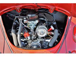 1965 Volkswagen Beetle (CC-1144785) for sale in Plainfield, Illinois