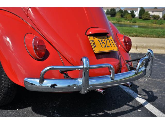 1965 Volkswagen Beetle (CC-1144785) for sale in Plainfield, Illinois