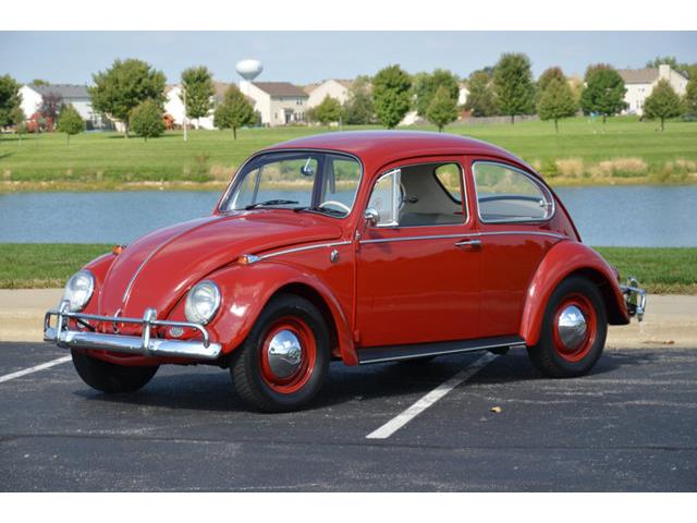 1965 Volkswagen Beetle (CC-1144785) for sale in Plainfield, Illinois