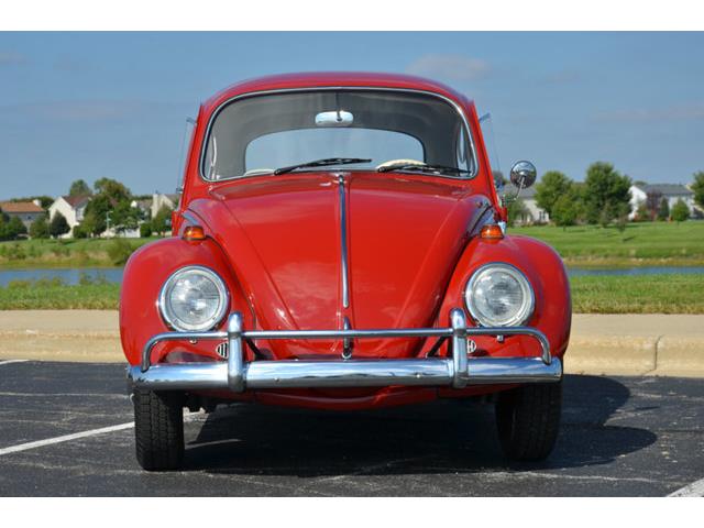 1965 Volkswagen Beetle (CC-1144785) for sale in Plainfield, Illinois