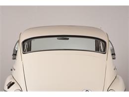 1962 Volvo PV544 (CC-1144985) for sale in Volo, Illinois