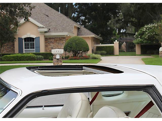 1977 Pontiac Grand Prix (CC-1145910) for sale in Lakeland, Florida