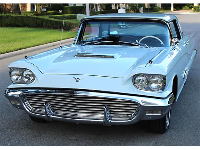 1959 Ford Thunderbird (CC-1145912) for sale in Lakeland, Florida