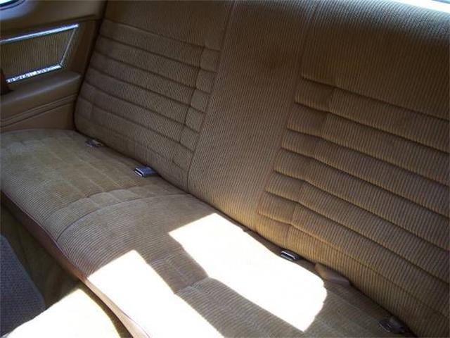 1980 Oldsmobile 442 (CC-1146000) for sale in Cadillac, Michigan