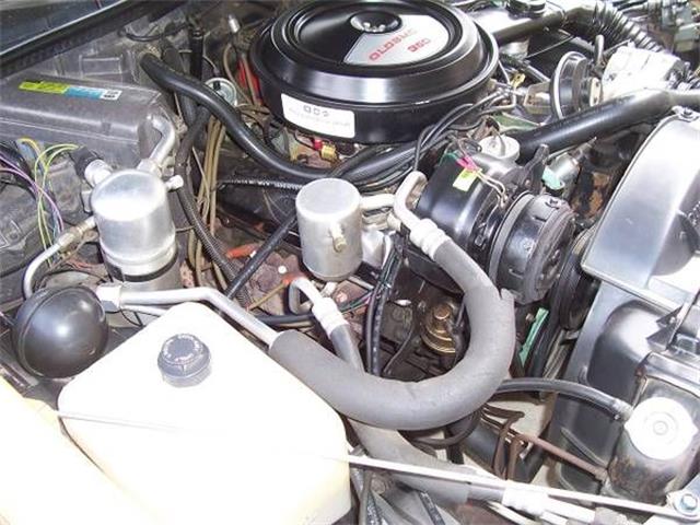 1980 Oldsmobile 442 (CC-1146000) for sale in Cadillac, Michigan