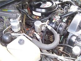 1980 Oldsmobile 442 (CC-1146000) for sale in Cadillac, Michigan