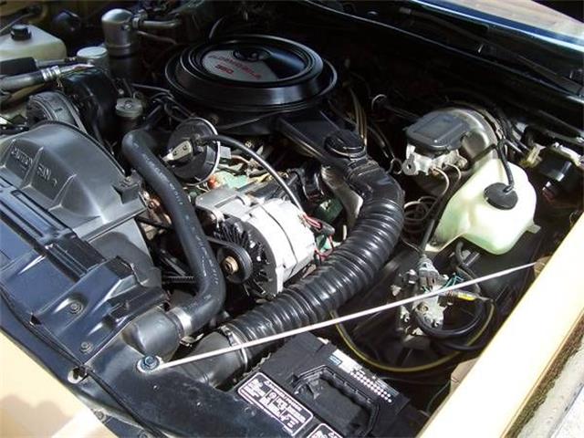 1980 Oldsmobile 442 (CC-1146000) for sale in Cadillac, Michigan