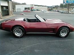 1975 Chevrolet Corvette (CC-1146037) for sale in Cadillac, Michigan