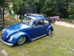 1967 Volkswagen Beetle (CC-1146058) for sale in Cadillac, Michigan