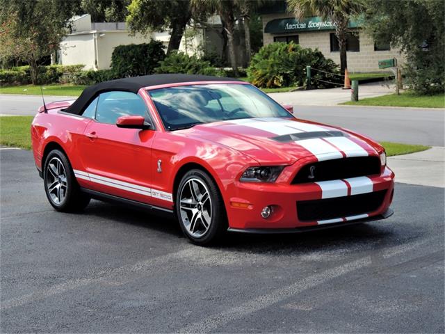 2010 Shelby GT500 (CC-1146359) for sale in Boca Raton, Florida